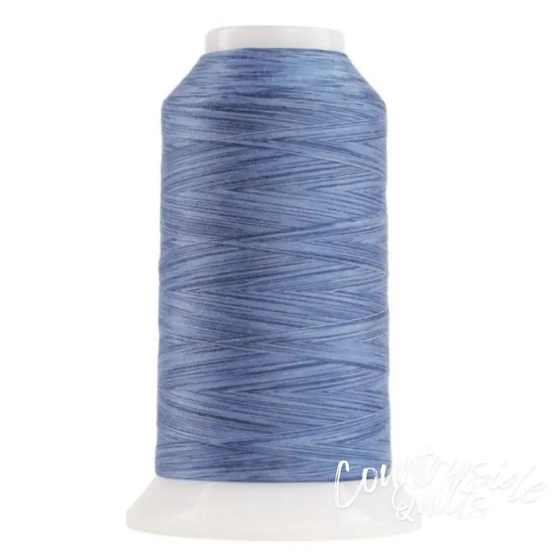 9004 Baby Benjamin Omni Variegated Polyester Thread
