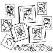 Collection of framed fruit sketches and loose fruit drawings on Aunt Martha’s fruit tea towels