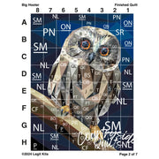 Big Hooter Quilt Kit QK060