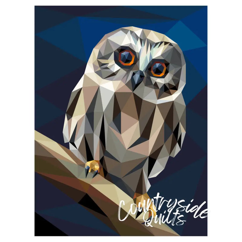 Big Hooter Quilt Kit QK060