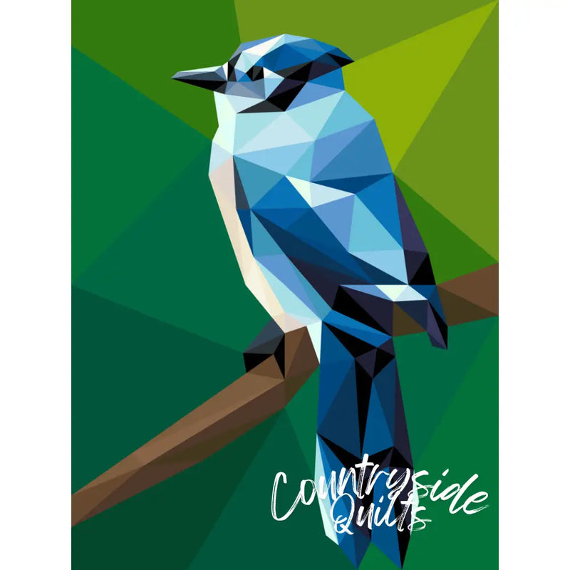 Blue Jay Mini Pattern PT063
