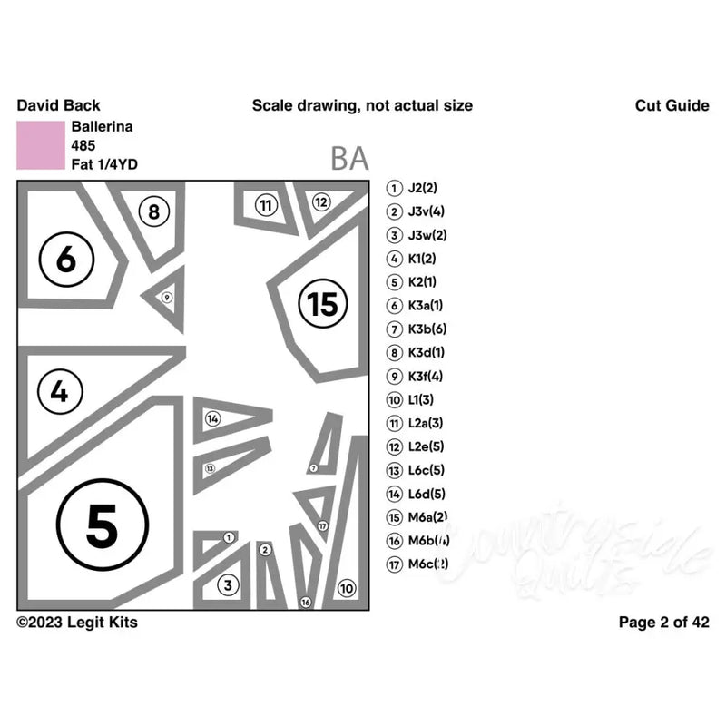 David Back Quilt Kit QK057