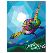 Deep Dive Quilt Kit QK036