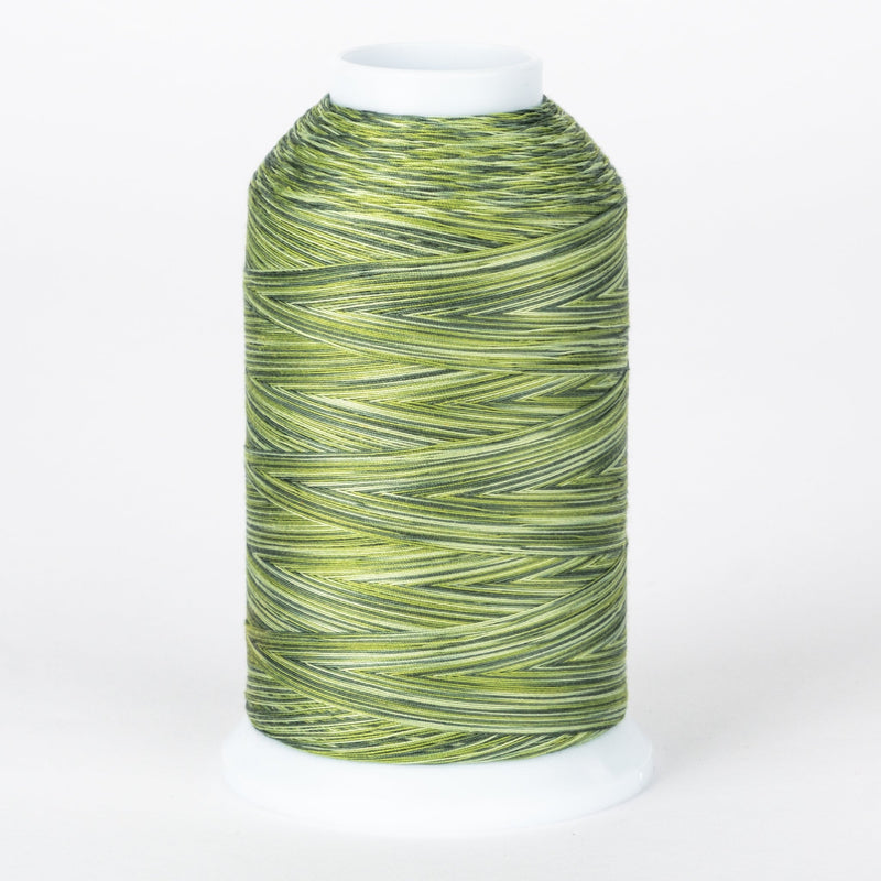 Majestic #418 - Palm Tree Cone