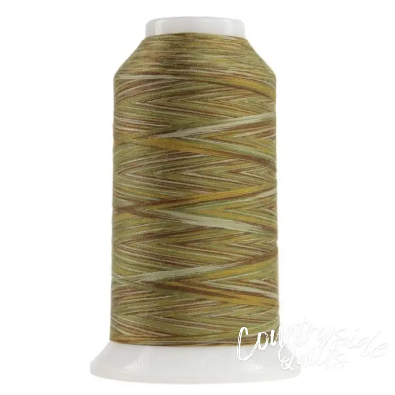 9010 Multigrain Omni Variegated Polyester Thread OMNIV-9010