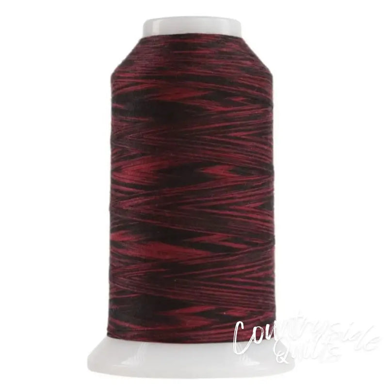 9017 Ladybug Omni Variegated Polyester Thread OMNIV-9017
