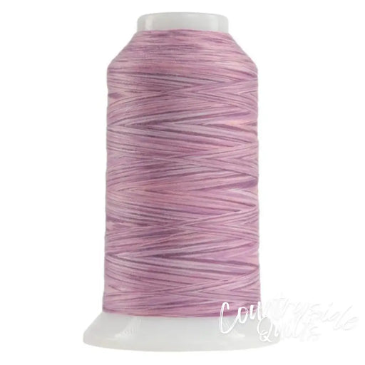 9030 Raspberry Parfait Omni-V | Variegated Polyester Thread