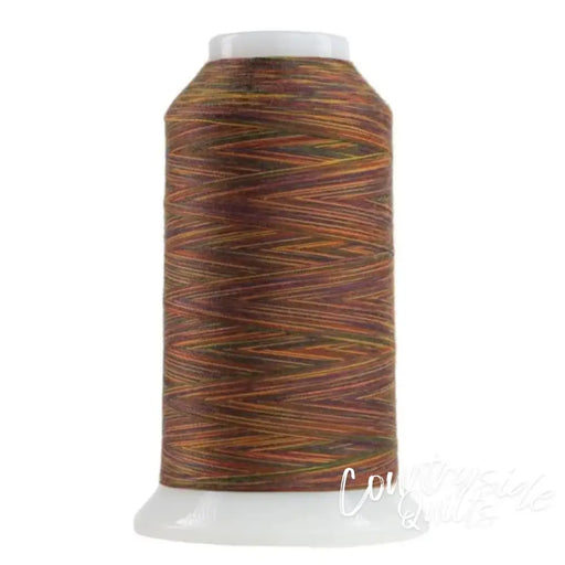 9035 Byzantine Omni Variegated Polyester Thread OMNIV-9035