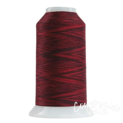 9074 Red Robin Omni-V | Variegated Polyester Thread | 2,000