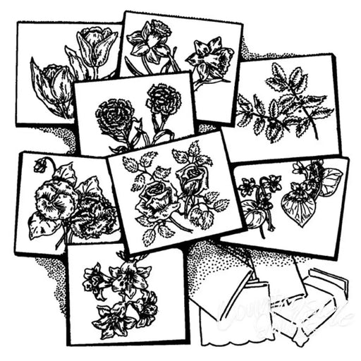 Botanical sketches of eight flowers from Aunt Martha’s 3698 collection