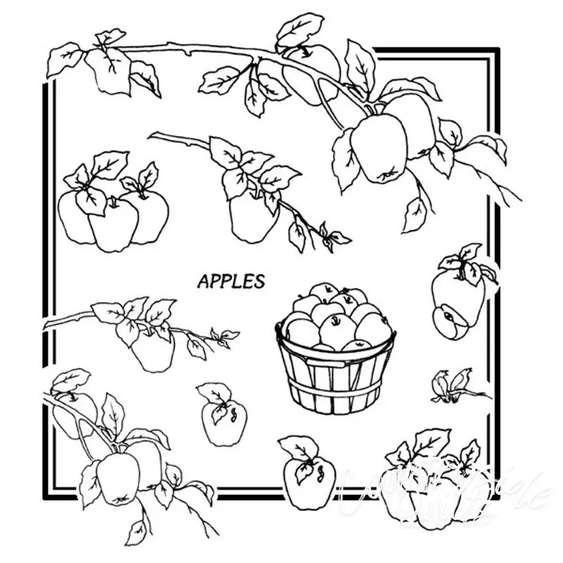 Aunt Martha’s Apples Galore shown with apples and branches in a square frame for countryside quilts