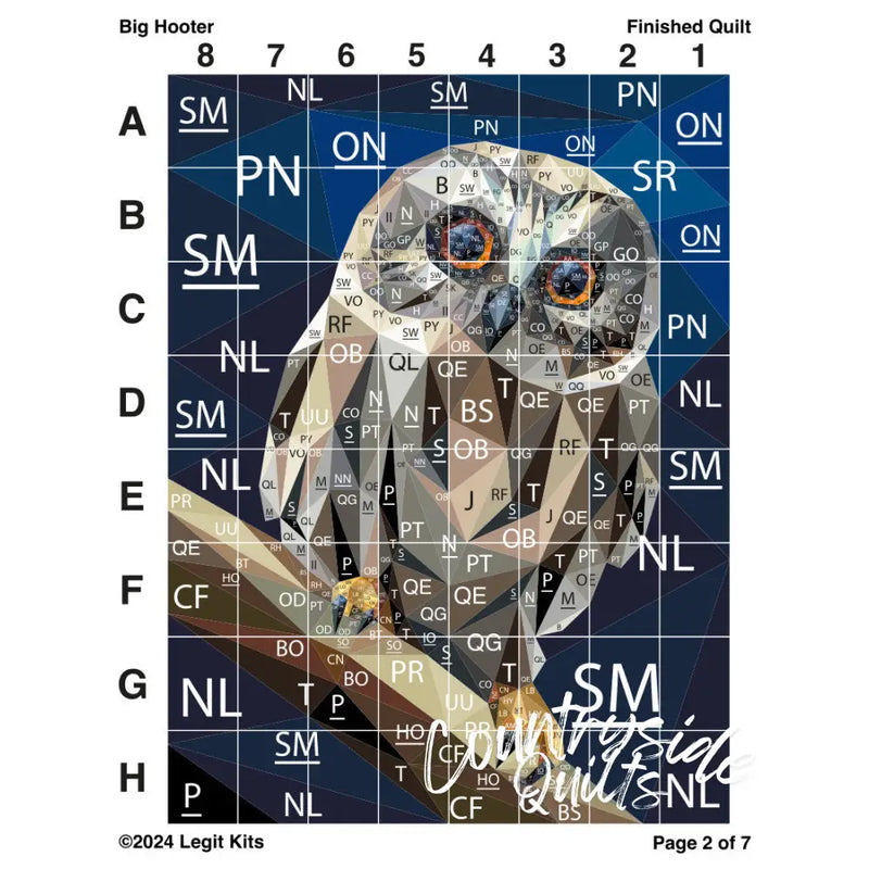 Big Hooter Quilt Kit QK060