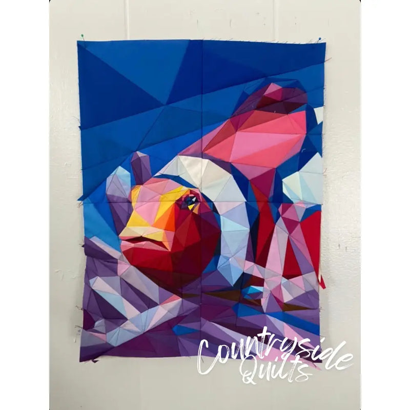 Clownfish Quilt Kit QK017