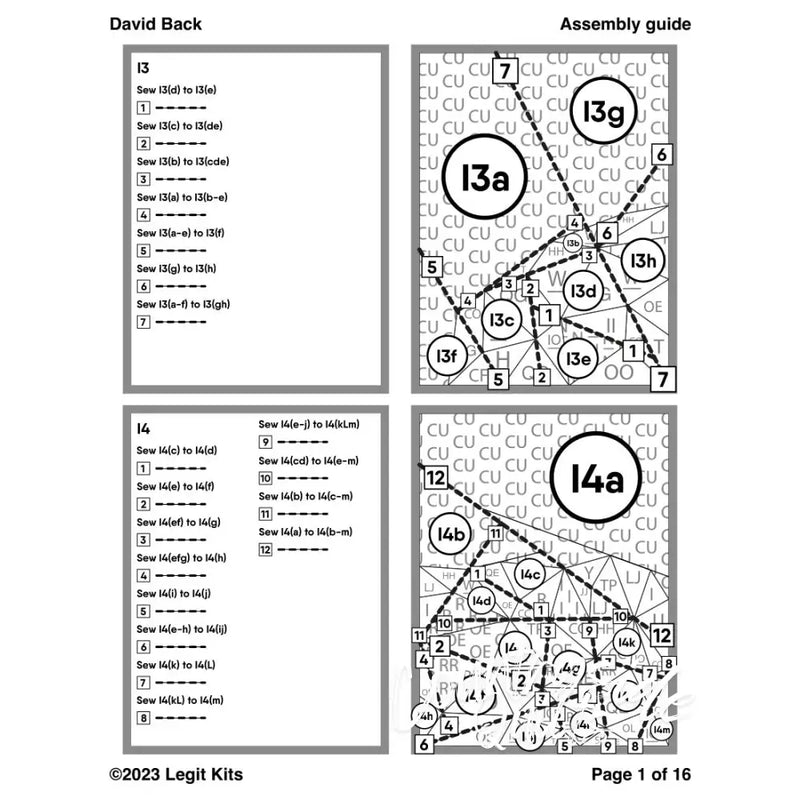 David Back Pattern PT057