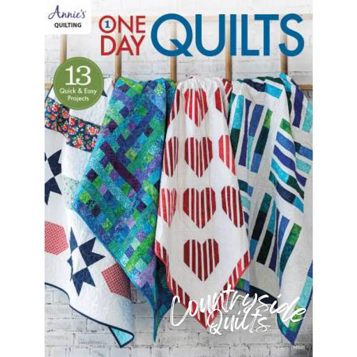 One Day Quilts 707256
