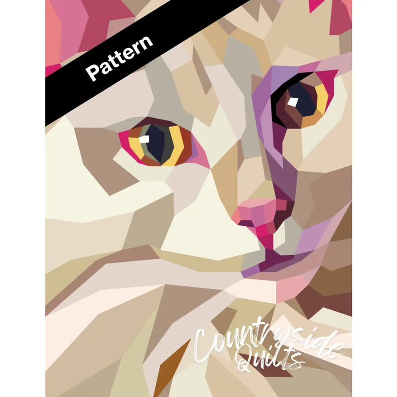 Drum the Cat Pattern PT013