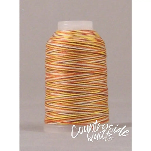 Jeans Stitch #3VA - Earthtone Variegated Mini Cone Thread