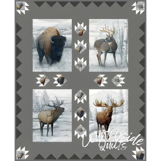 Riley Blake Designs Big Game Pillow Panel Quilt Boxed Kit