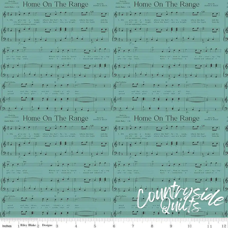 Riley Blake Designs Cowboys Music Teal 44’’ / 45’’