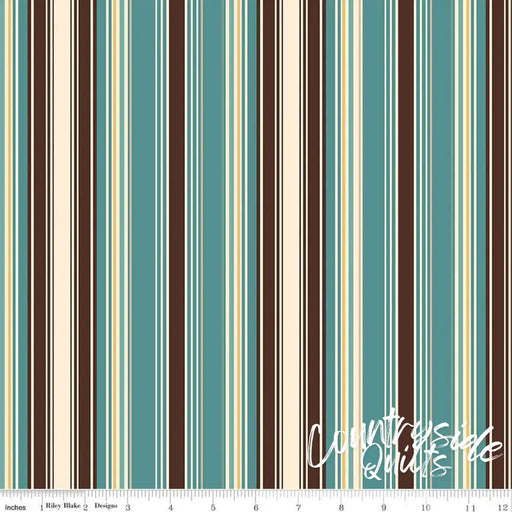 Riley Blake Designs Cowboys Stripes Teal 44’’