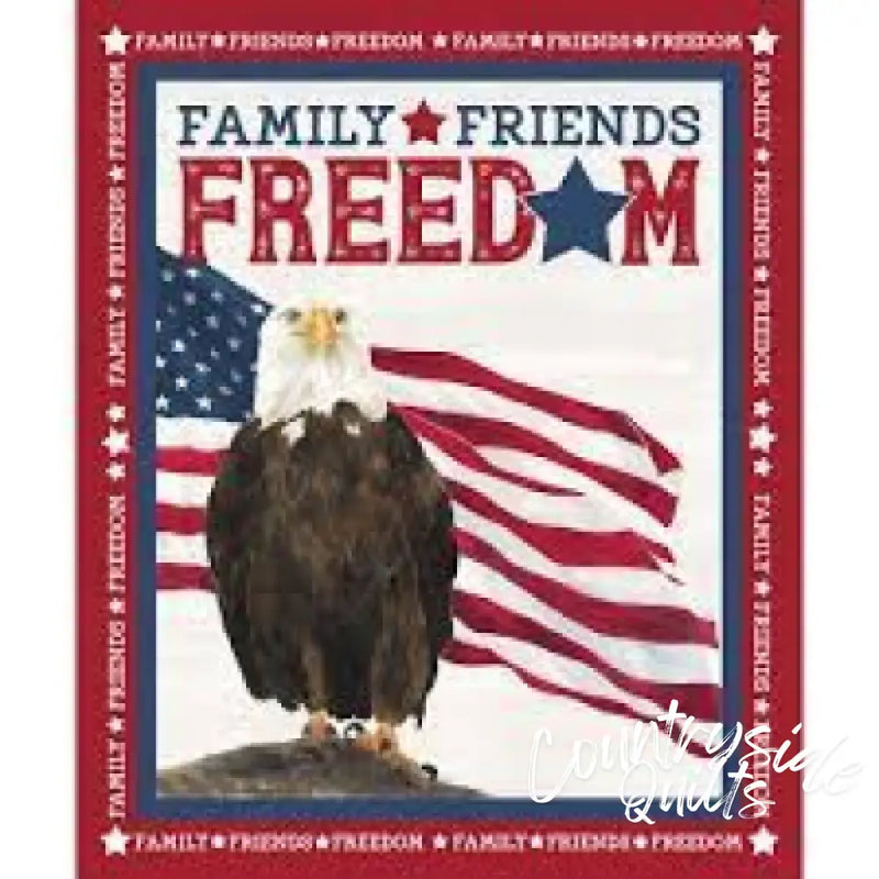 Riley Blake Designs Let Freedom Soar panel Panel RB0079