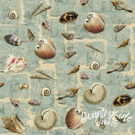 Spring Creative Shell Collection 71575