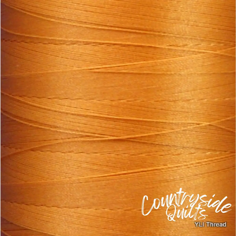 YLI Bonded Nylon TNB-70-7301